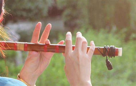 「柳笛」用春天柳树制成的挪威柳笛，最接近“神的声音”？ - 知乎