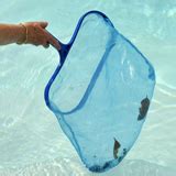 premier pools inc – swimming pool cleaning, automatic robotic cleaner ...