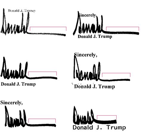 Trump Denies Epstein Birthday Drawing, but Signature Matches Personal ...