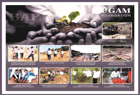 Sustainable Development