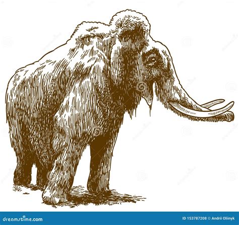 Engraving Drawing Illustration of Woolly Mammoth Stock Vector ...