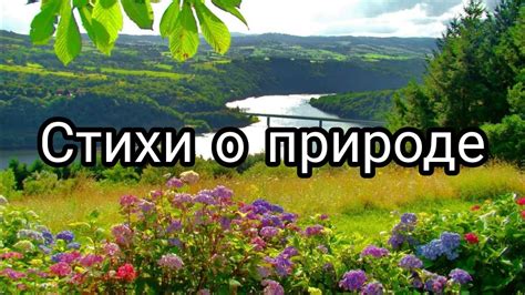 Стихи о природе детям. Стихи о бережном отношении к природе #стихи# ...