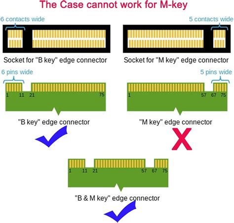 CableCC 2 in 1 Combo M.2 NGFF B-key & mSATA SSD to India | Ubuy