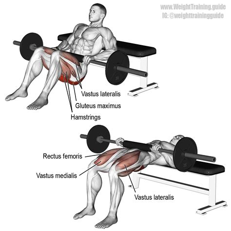 Barbell hip thrust exercise instructions and video | Weight Training ...