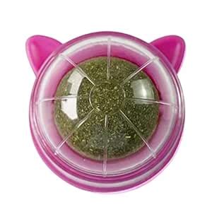 Buy Merishopp Catnip Ball Toys Teething Toy Snack Pet French Windows ...