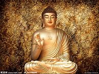 Image result for Buddha 释迦牟尼