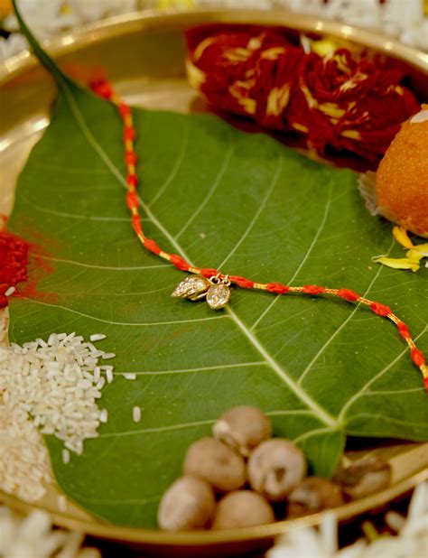Coffee Bean Rakhi – Modern Organic Rakhi for Brother – Tangerine Bio ...