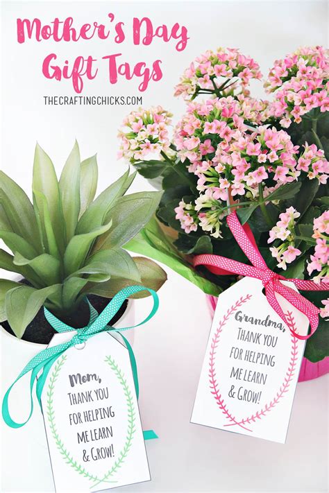 Plant Gift Tags Ideas at Amy Heyer blog