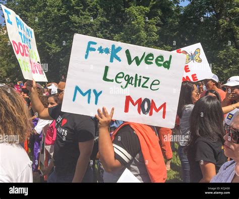 Immigration Protest Signs