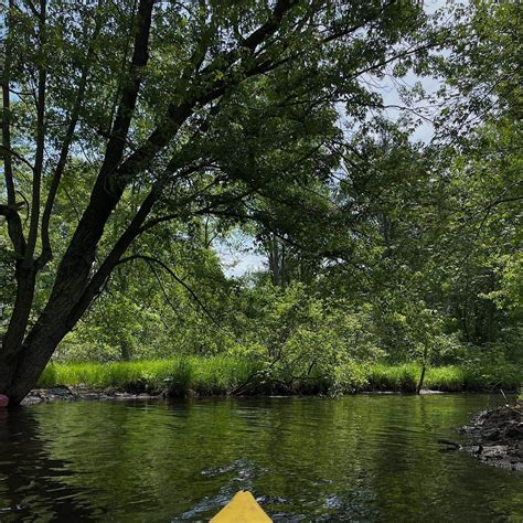 Twin Pines Campground & Canoe Livery | Concord, Michigan