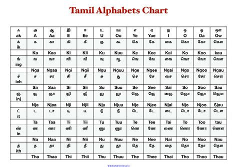 தமிழ் எழுத்துக்கள் 247 PDF | Tamil Alphabet Chart with Pictures