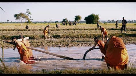 First They Killed My Father (2017)