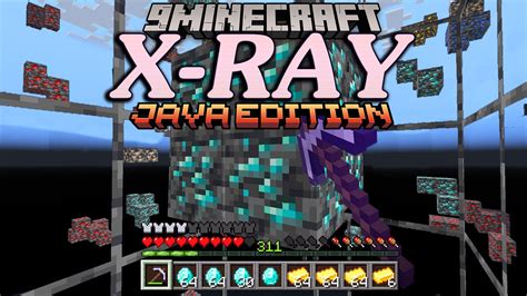 Image result for X-ray 1.17 Java