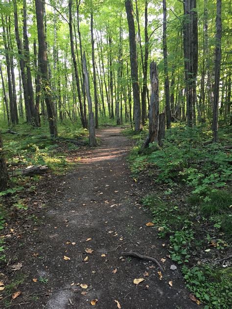 Lime Kiln & Chipmunk Trails [CLOSED] - Ontario, Canada | AllTrails