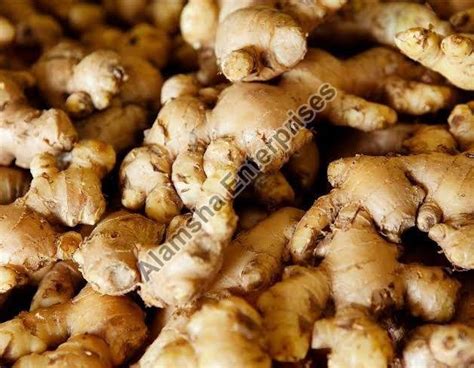 Fresh Ginger Exporter,Wholesale Fresh Ginger Supplier from Tamil Nadu India