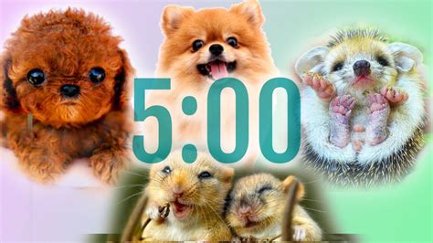 Image result for Classroom Timer Music