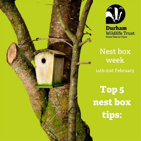 Durham Wildlife Trust on LinkedIn: Happy National Nest Box Week 🪺💚 As ...