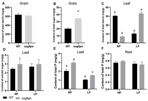Glucose-6-Phosphate 1-Epimerase Responds to Phosphate Starvation by ...