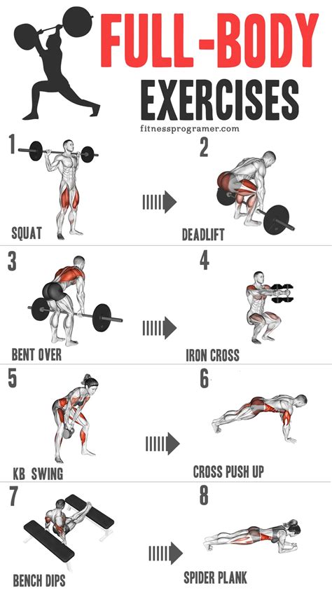 Exercises For Total Body Gym Workouts: Beginner Full Body + Lower Body