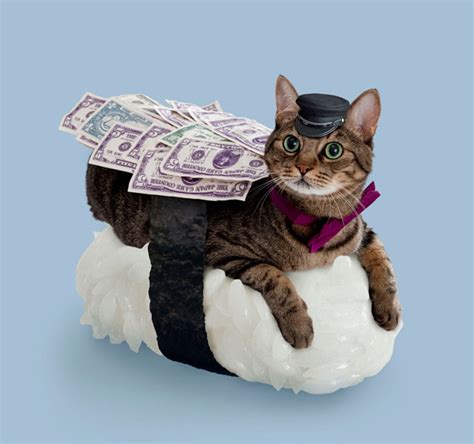 日本寿司猫:Sushi Cats | 创意产品