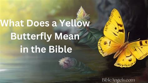 Yellow Butterfly Symbolism in the Bible