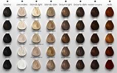 All Hair Colors by Maitreya Three New Hairstyles Today All Hair Colors
