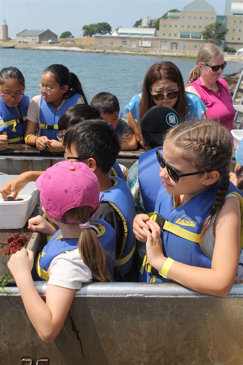 Long Island Sound Partnership Marks 40th Anniversary with Celebrations ...