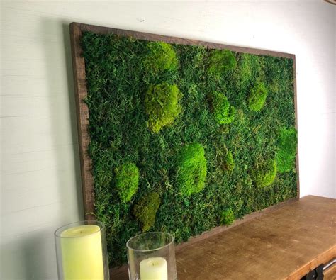 How To Make A Live Moss Wall Art at Gerald Chambers blog
