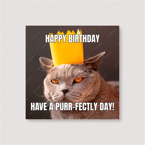 Funny Happy Birthday Cat Memes