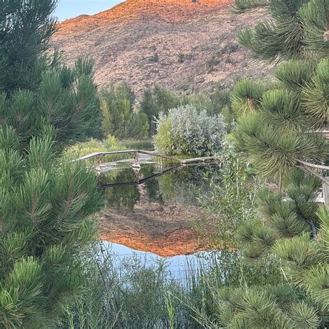 THE HOFFMANN HOTEL BASALT ASPEN, TAPESTRY COLLECTION BY HILTON - Hotel ...