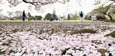 Immer mehr Menschen in Japan beschweren sich über Eltern und Kinder in ...