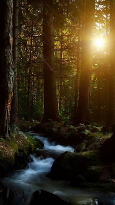 Nature Wallpaper Iphone 6 Beautiful Pictures by 30 Best Iphone 6 Wallpapers Backgrounds In Hd Quality Nature Wallpaper Iphone 6 Beautiful Pictures