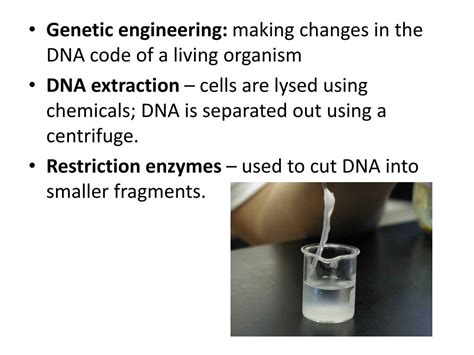 Biotechnology Projects 的图像结果