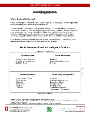 Strategic Management Project Assignment Guidelines - Merged (MMZG611 ...