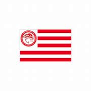 Image result for Olympiakos Flag