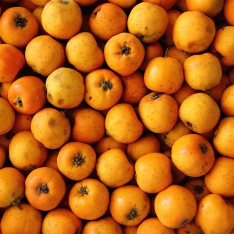 Is Pectin Vegan? All your questions answered by Vegan Dietitians