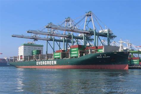 EVER BALMY, Container Ship - Details and current position - IMO 9786944 ...