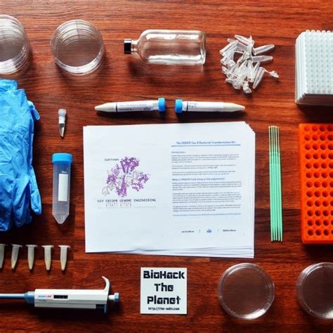 CRISPR Kit for Humans 的图像结果