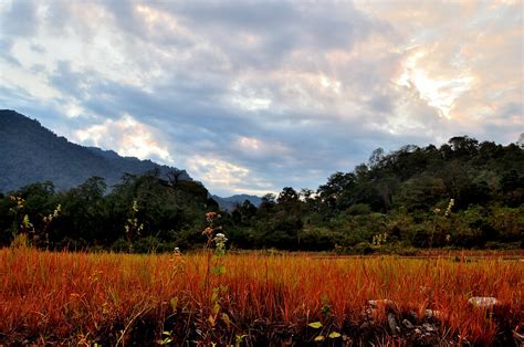 Namdapha National Park - Enjoy the Wildlife of Arunachal Pradesh ...