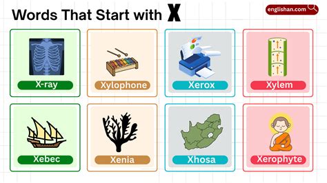 Words that Start with En - List of 300+ Words in English