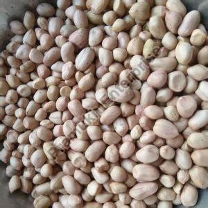 160/180 Java Groundnut Kernels Supplier from Rajkot