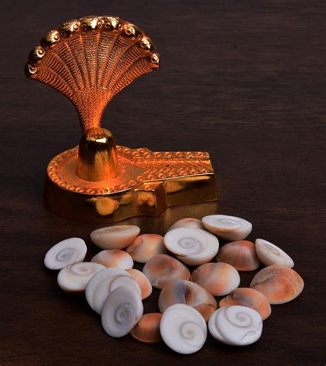 Energized & Natural Gomati Chakra/Gomti Chakra (White) - Small Size ...