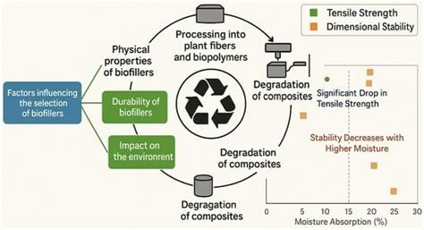Plant-Based Biofillers for Polymer Composites: Characterization ...