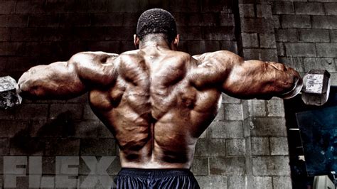 Image result for What Is FST 7 Training