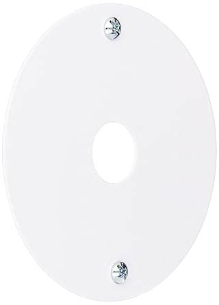 Lithonia Lighting MNLK JBOXCVR M12 LED J-Box Cover, White : Amazon.in ...