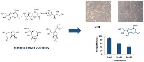 Identification of Novel Human Breast Carcinoma (MDA-MB-231) Cell Growth ...