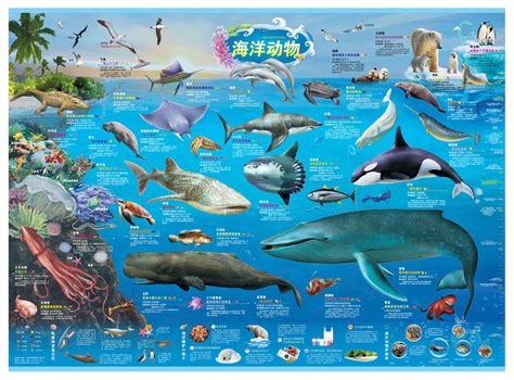 世界海洋地图 的图像结果