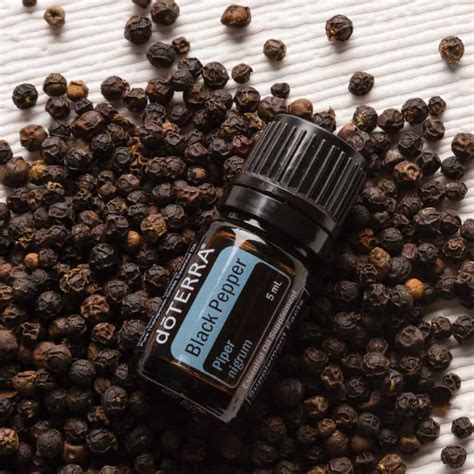 Černý pepř - Black Pepper | E-shop aromaterapie s ARGYRO.CZ