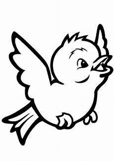 vogel malvorlagen quiz 20 besten ausmalbilder v 246 gel beste wohnkultur vogel malvorlagen quiz 20 besten ausmalbilder v 246 gel beste wohnkultur
