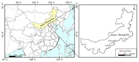 A New Species of Comptonia (Myricaceae) from the Early Miocene of ...